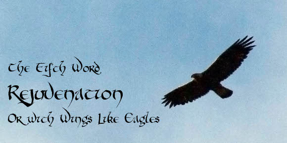 Word5Rejuvenation(featured)