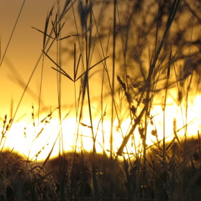 promiseinvitationmission